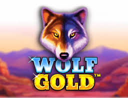 Wolf Gold