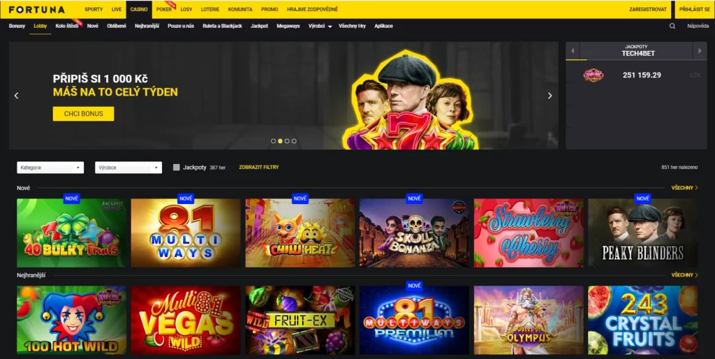 Fortuna Casino Recenze